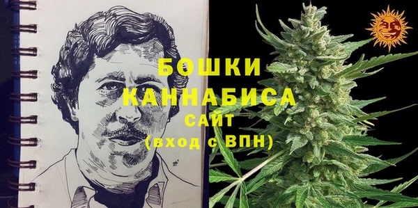 тгк Ладушкин