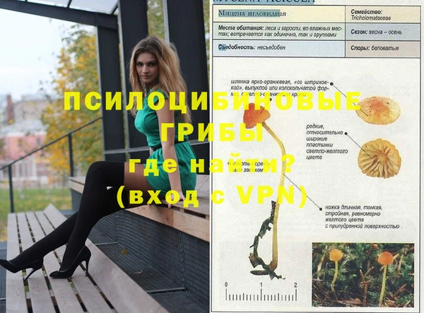альфа пвп Кукмор