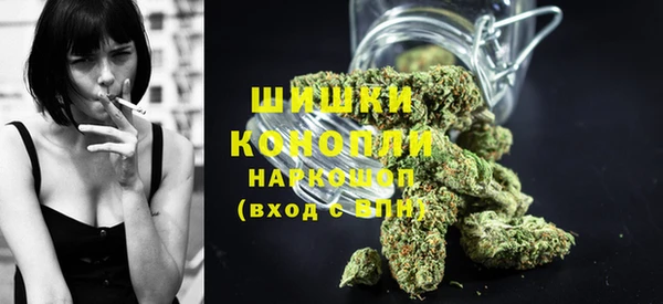 тгк Ладушкин